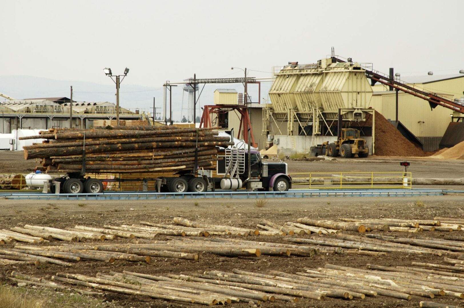 Industrial lumber yard with processing equipment and transport